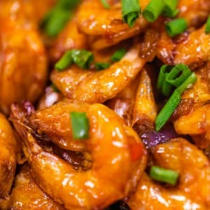 Cantonese Shrimp Lo Mein